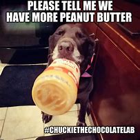 Image result for Peanut Butter Cup Meme