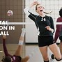 Image result for Volleyball Mental Health Quotes