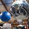 Image result for Giant Inflatable Habitat