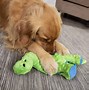 Image result for Heavy Duty Dog Chew Toys