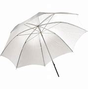 Image result for Iridescent Umbrella Silver