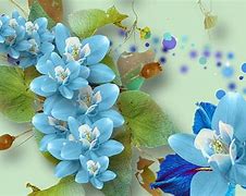 Image result for Cyan Flowers Desktop Wallpaper