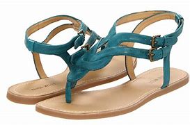 Image result for Four Feet Two Sandals Every Picture