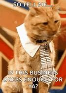 Image result for Business Cat Meme Red Dot