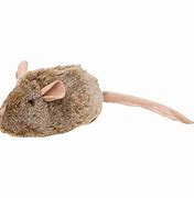 Image result for Cat Mouse Play Toys