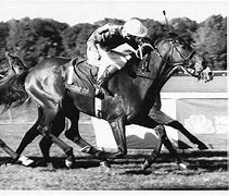 Image result for Vintage Horse Racing Photos