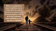 Image result for ani�ajiento