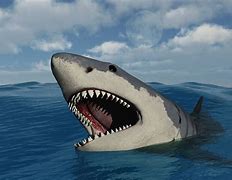 Image result for World Biggest Shark Megalodon