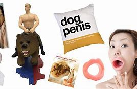 Image result for Weird Cool Stuff to Buy