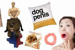 Image result for Random Things On Amazon