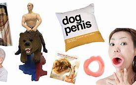 Image result for Strange Things to Buy