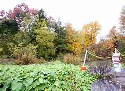 Image result for 1875 Niles Cortland Road%2C Warren%2C OH 44484