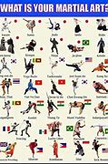 Image result for Different Styles of Kung Fu