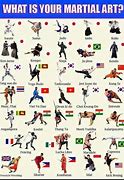Image result for Types of Karate