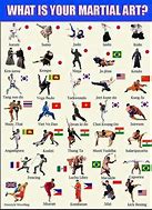 Image result for 12 Martial Arts