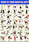 Image result for Martial Arts From around the World List