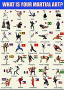Image result for Karate Types Names