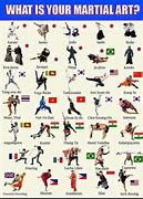 Image result for Brief Description of Different Types of Martial Arts