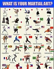 Image result for Different Karate Moves
