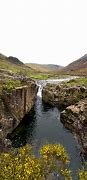 Image result for Black Moss in the Lakes