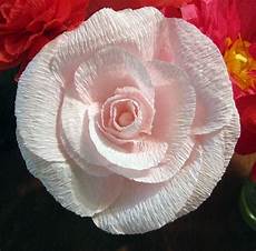 come creare fiori di carta crespa come realizzare fiori di carta crespa fiori di carta come creare fiori di carta crespa come realizzare fiori di carta crespa fiori di carta
