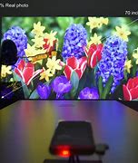 Image result for Mini DLP Projector