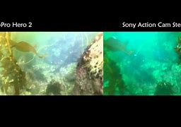 Image result for Sony RX-0 Underwater