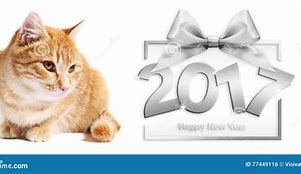 Image result for Image Happy New Year with Ginger Cat