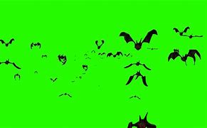 Image result for Bat Animashin