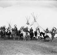 Image result for American Indian Horse