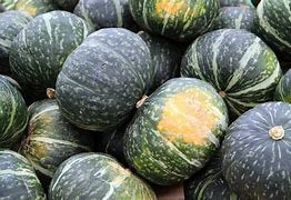 Image result for Bell-Shaped Squash