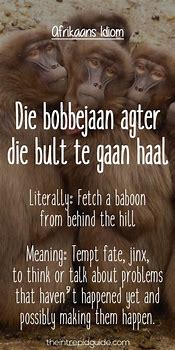 Image result for Funny Afrikaans Sayings