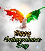 Image result for Independence Day Meme Hindi