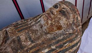 Image result for Egyptian Mummies Discovery