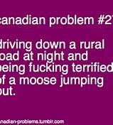 Image result for Canadian Health Care Humour