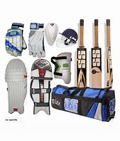 Image result for SS Cricket Kit