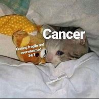 Image result for Cancer Memes Sikander