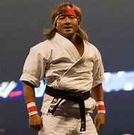 Image result for Japan Kung Fu Styles