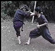 Image result for Silat Moves