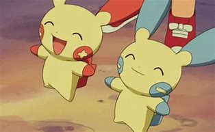 Image result for Plus and Minus Pokemon