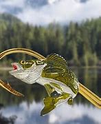 Image result for Walleye Hat Pins