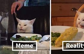 Image result for Cat Meme Face Table