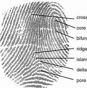 Image result for Fingerprint Label
