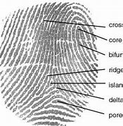 Image result for Phones with Fingerprint Scanner On Back