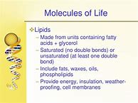 Image result for Molecules of Life Grade 10 Notes