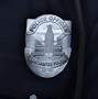 Image result for GTA V Police Logo