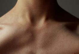 Image result for Collar Bone Texture