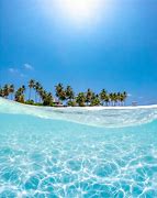 Image result for Crytal Clear Ocean Water