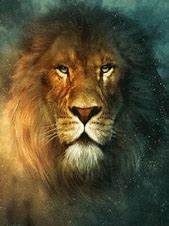 Image result for Cool Galaxy Lion