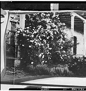 Image result for 1912 Central Ave., Alameda, CA 94501 United States